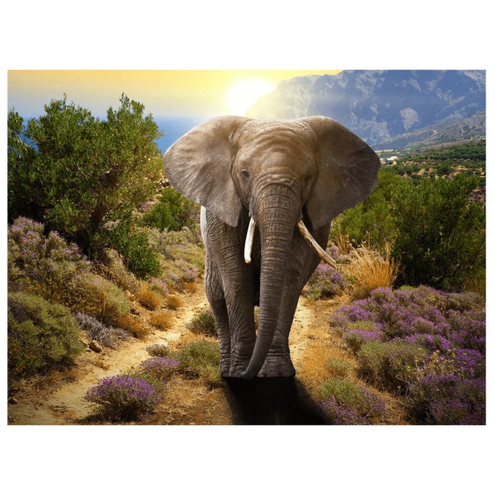 Mozaic cu diamante - tapiserie Rila Crafts, 30x40cm, Elefant