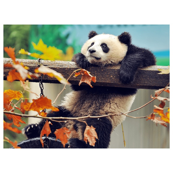 Tapiserie mozaic cu diamante Rila Crafts, 30x40cm, Panda