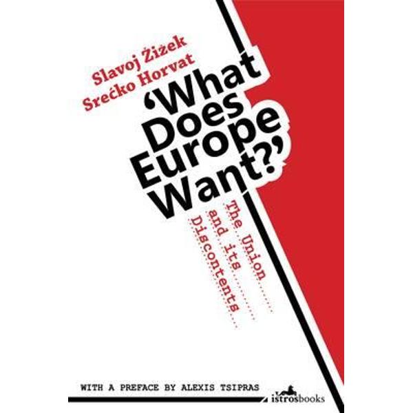 What Does Europe Want?