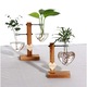 Декоративна ваза за цветя/растения, с дървена опора, комплект от 2 стъклени съда, кафява/прозрачна