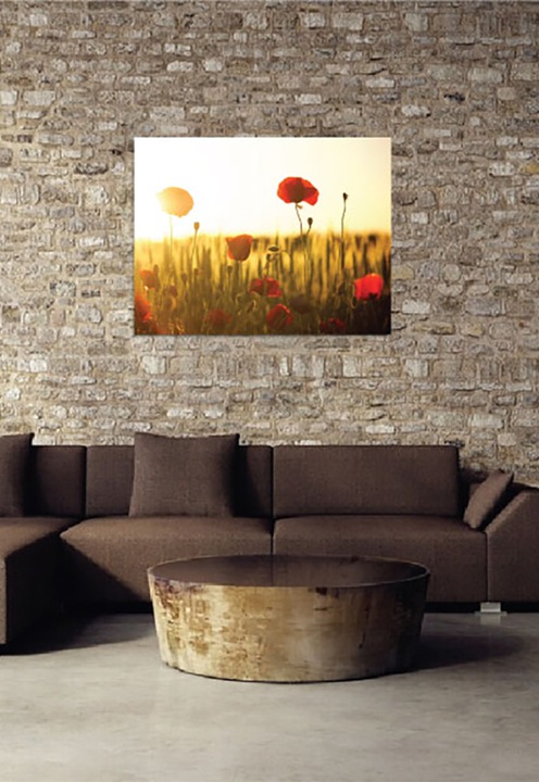 4Decor, Tablou de panza Poppy Field, 45x60 Standard