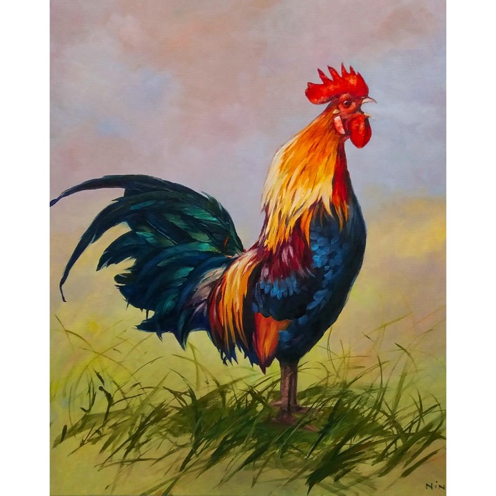Рисуване по номера ITA ART, Петел, 40х50см, Многоцветен