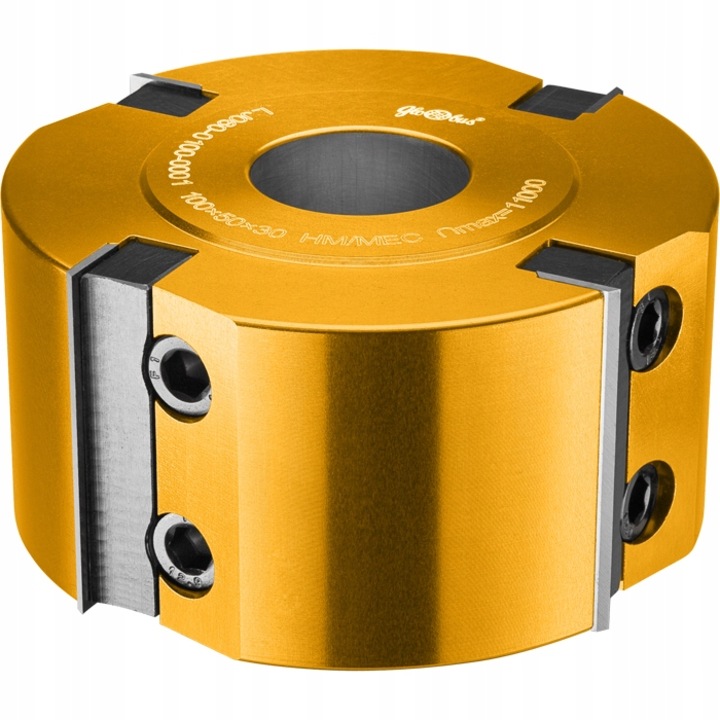 Cap de rindea, Globus, 100x40x4Z, H50