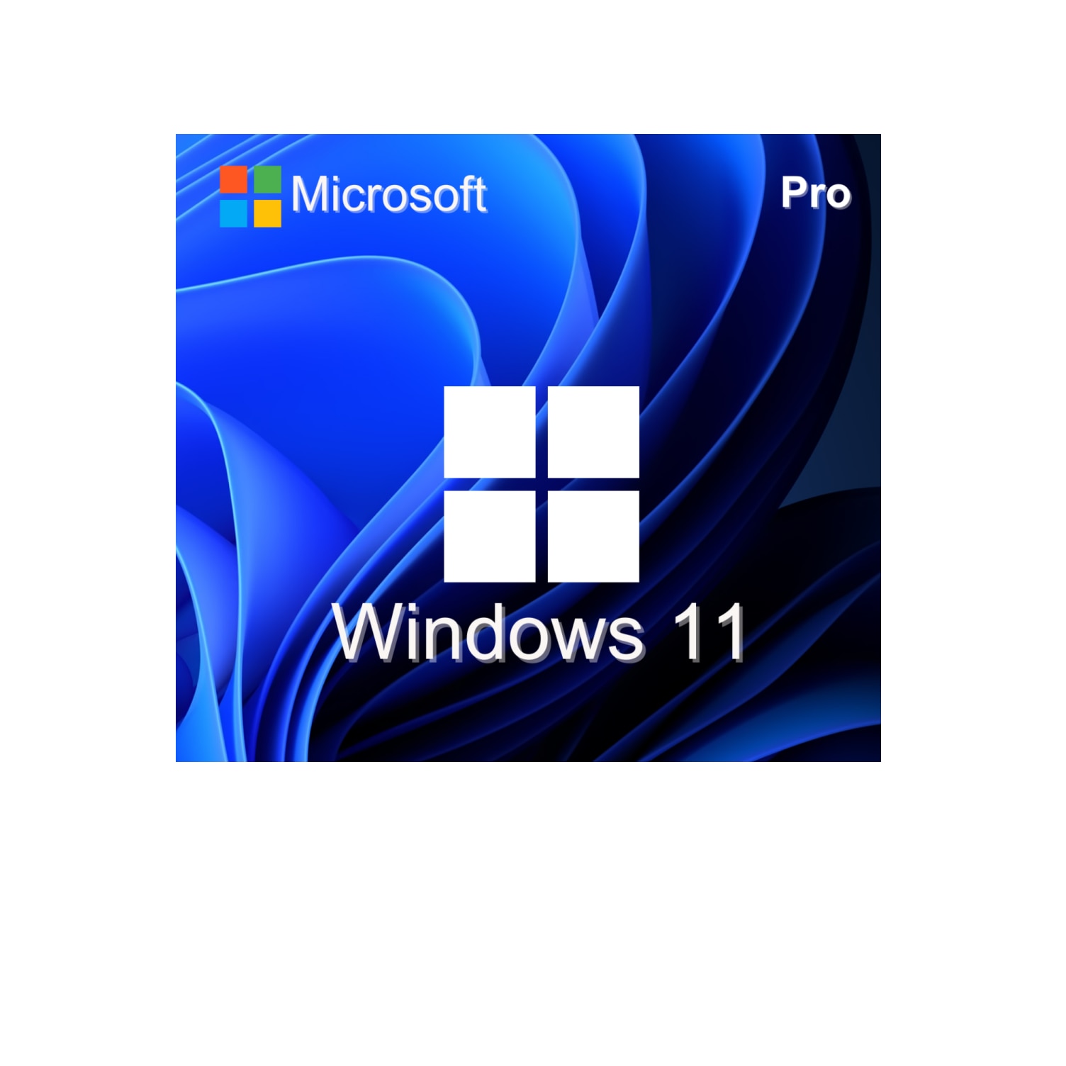 Licenta Microsoft Windows 11 Pro Usb Retail Emagro 5137