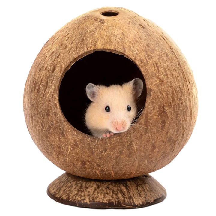 Casuta pentru hamster din nuca de cocos, AMRINUGL, 13.5x12cm, maro, 1 bucata