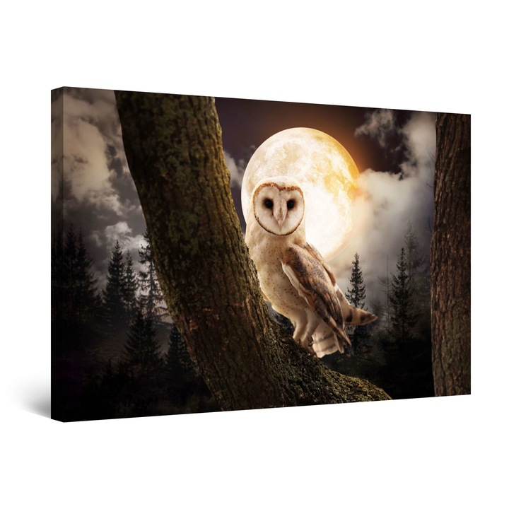 Картина DualView Startonight Сова и Луна, светеща в тъмното, 60 x 90 cm