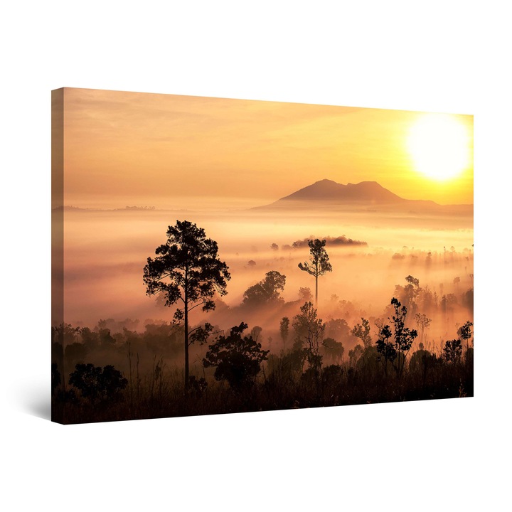DualView Startonight картина Залез над гората, свети в тъмното, 80 x 120 cm