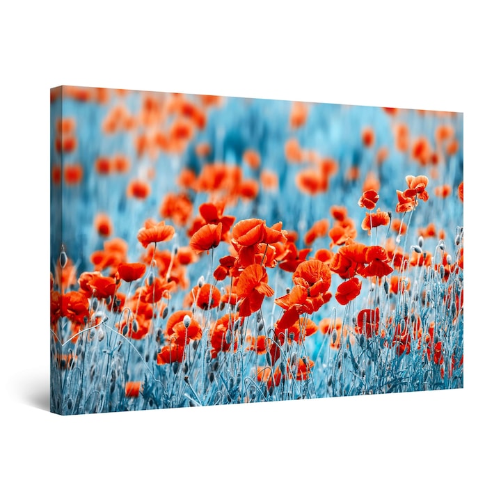 Картина DualView Startonight Макове в синьо, светеща в тъмното, 80 x 120 см