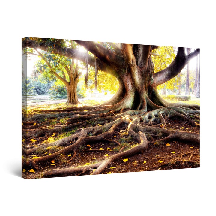Картина DualView Startonight Old Roots, светеща в тъмното, 80 x 120 cm