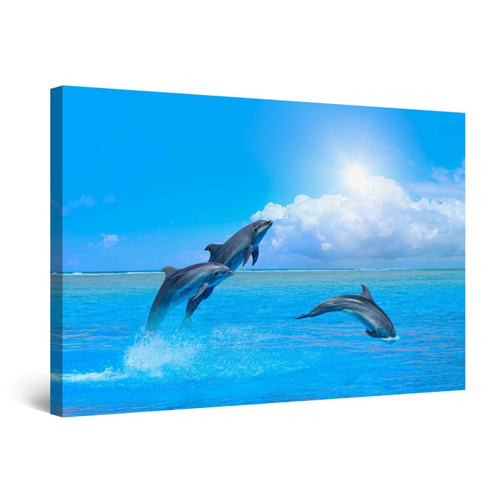 DualView Startonight картина Три делфина, светеща в тъмното, 60 x 90 см
