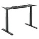 Birou reglabil electric StableDesk Pro, 2 motoare, Ridica 125 kg, Organizator cabluri, Touchscreen, Aplicatie Smart Telefon, Ergonomic, 3 Functii de Memorie, Sistem Anti-Coliziune, Timer, Inaltime 62-128 cm, Cadru Negru mat, Blat 25 mm Lemn - 120 x 75 cm