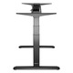 Birou reglabil electric StableDesk Pro, 2 motoare, Ridica 125 kg, Organizator cabluri, Touchscreen, Aplicatie Smart Telefon, Ergonomic, 3 Functii de Memorie, Sistem Anti-Coliziune, Timer, Inaltime 62-128 cm, Cadru Negru mat, Blat 25 mm Lemn - 120 x 75 cm