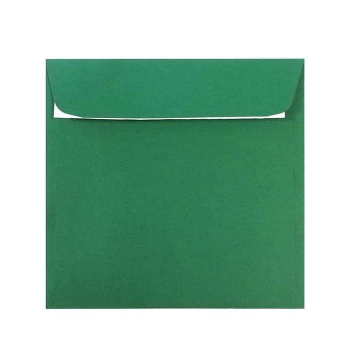 Plic Patrat siliconic DACO 25 buc/set, Verde Padure