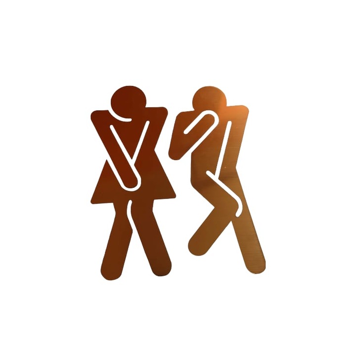 Set placute ABS indicatoare toaleta, aurii, gravate,20x8 CM