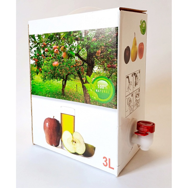 Cutii de carton Bag-in-Box pentru suc 3L, 10 bucati