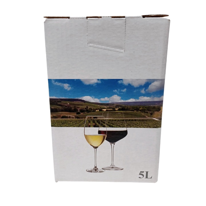 Cutii de carton Bag-in-Box pentru vin 5L, 10 bucati