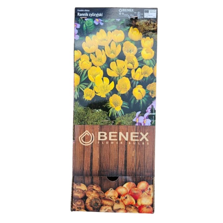 Bulbi Eranthis Cilicica - Aconit de Iarna - pachet 3 bucati