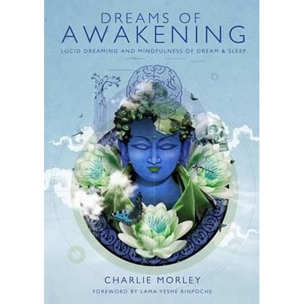 Dreams of Awakening
