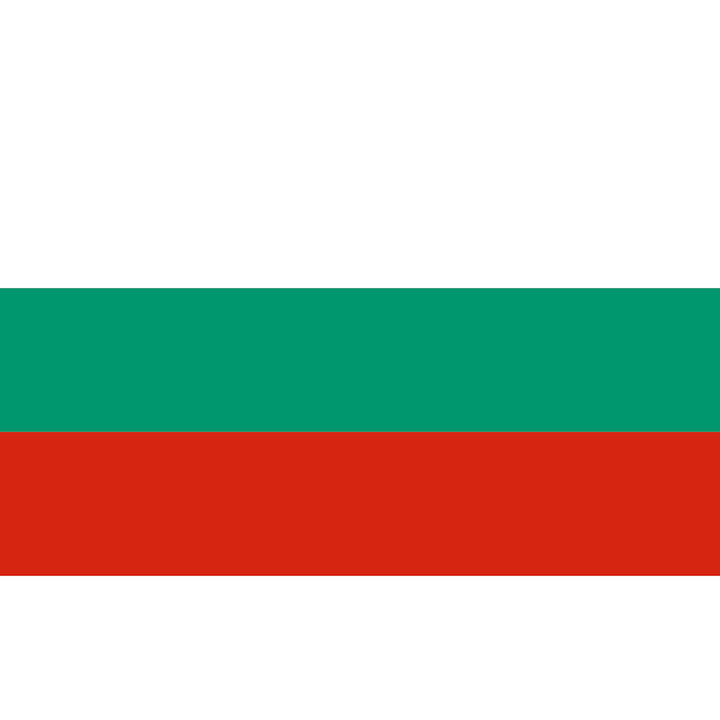 Steag Bulgaria, dimensiune 150x90cm, poliester, Vision XXI