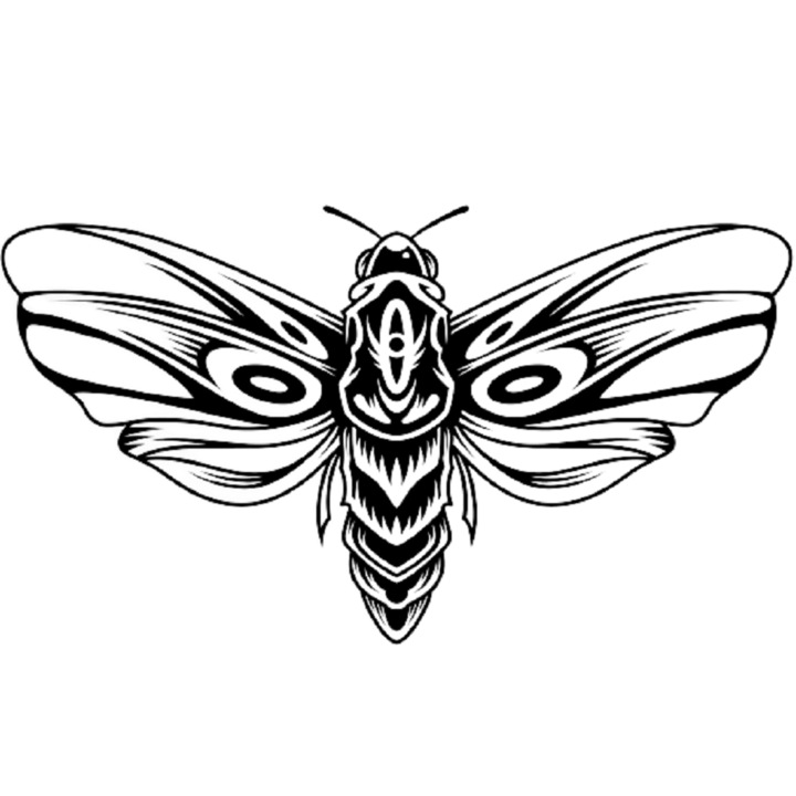 Decoratiune de Perete "Amaze Insect", CRAFET, 600 mm X 800 mm, Material lemnos, Negru