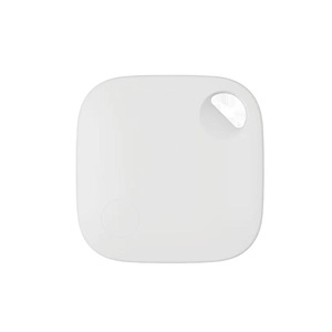 Dispozitive anti-pierdere