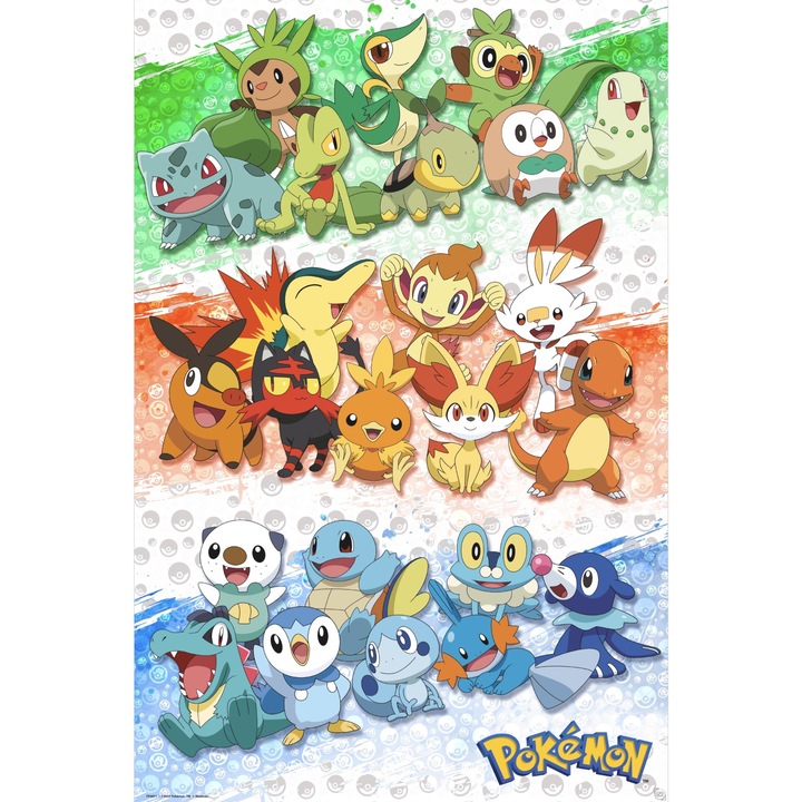 Плакат, Покемон, Първи партньори, 91.5 x 61 см