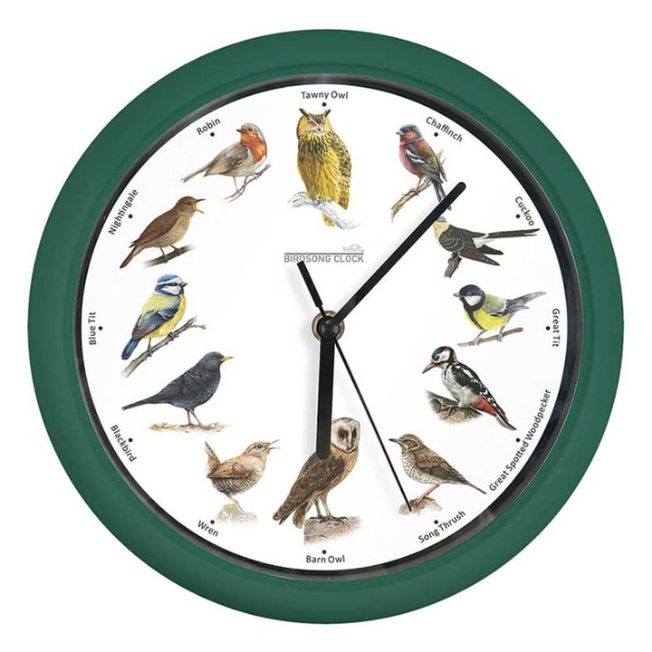 Ceas de perete Starlyf Birdsong Clock 12 cantece diferite de pasari Verde