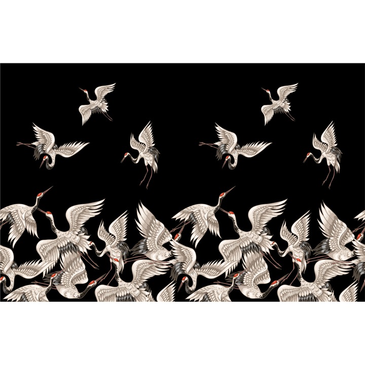 Fototapet fara imbinari H 250 cm x L 400 cm Pasari pe fundal negru