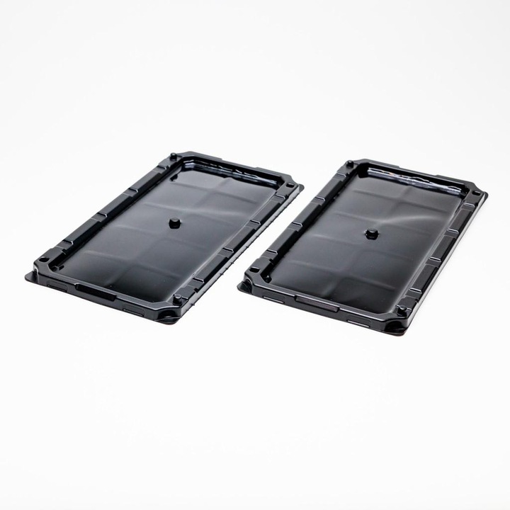 Set 2 bucati Capcana din plastic cu adeziv, Cleanse Professional, pentru soareci si sobolani ( rozatoare ), model HYRT01, 260 x 125, Negru, 190g, Non-toxica