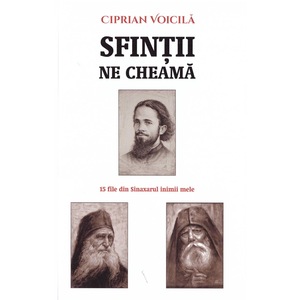 Biografii, memorii si jurnale