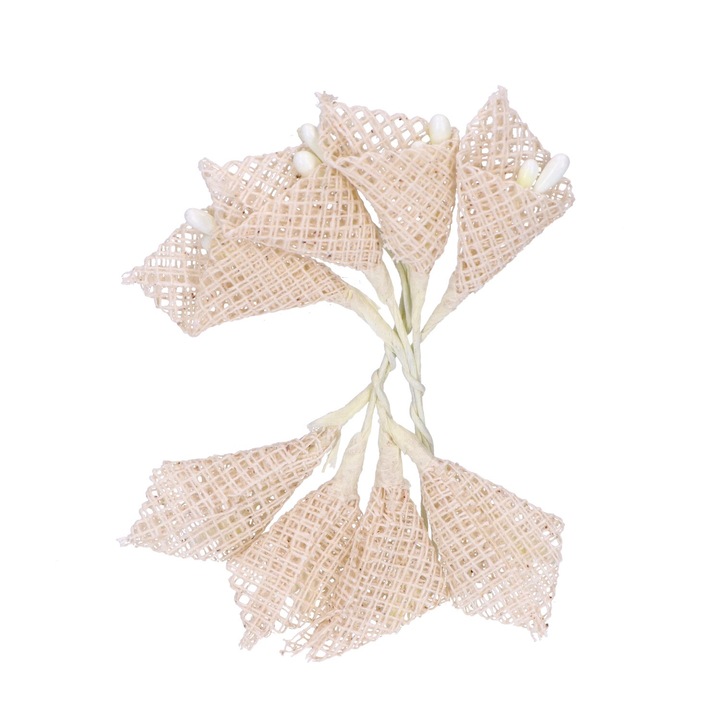 Комплект 8 цветя, Арго, Ин, Бежов