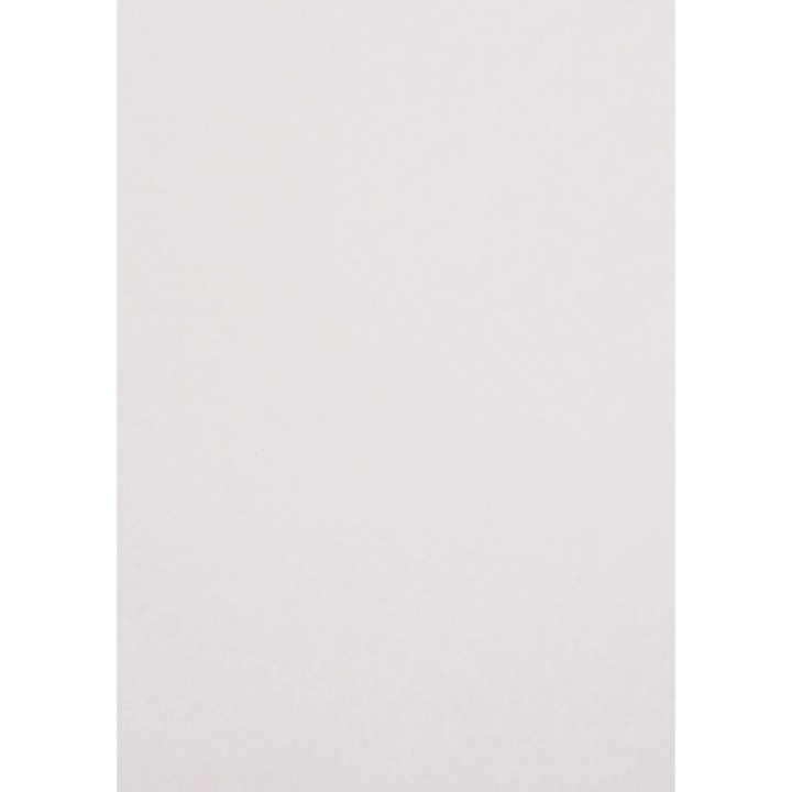 Set Hartie decorativa ecologic, Netuno, Crush, 250g, A4, 210x297 mm, Ecru, 10 buc