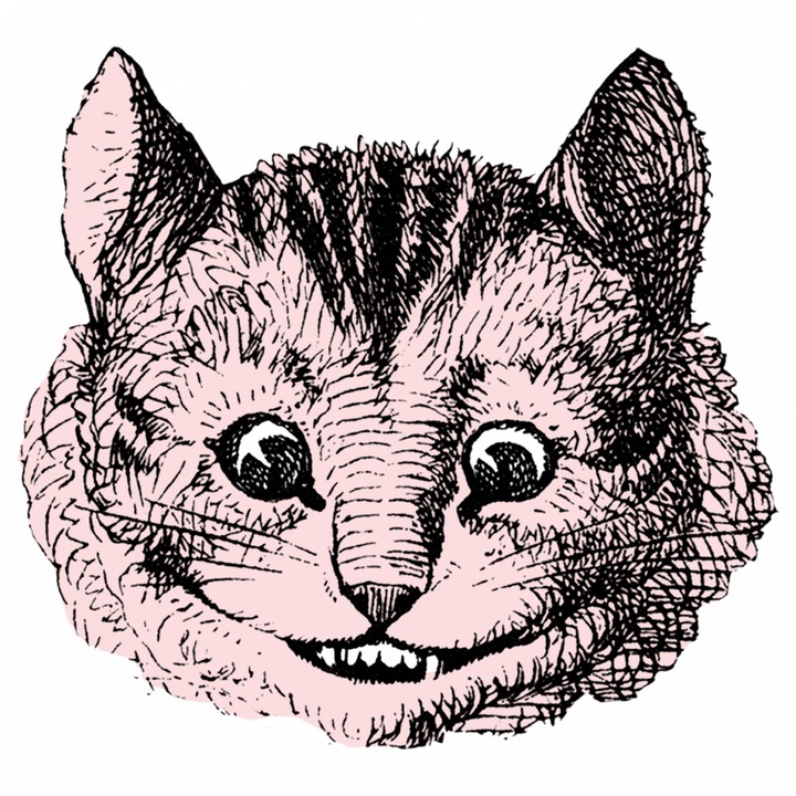 Set 5 bucati, Sticker decorativ, Alice in tara minunilor pisica Cheshire, Rezistent la apa, NO7934, 6 cm, Multicolor
