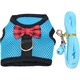 Set Ham/Lesa pentru porcusor de Guineea, QttvbTna, Multicolor