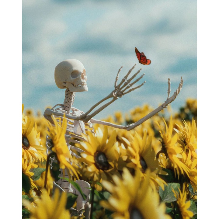 Tapet Premium Canvas, Cyberpunk schelet in lanul de floarea soarelui zambind la fluture, 300x200 cm