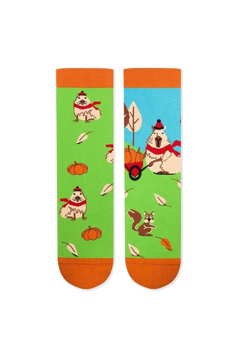Памучни чорапи Arty Socks Capybara Green