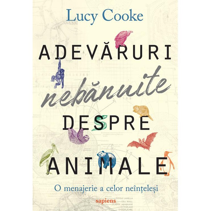 Adevaruri nebanuite despre animale , Lucy Cooke