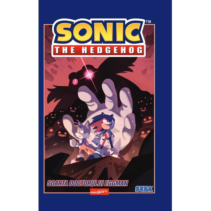 Sonic the Hedgehog 2. Soarta doctorului Eggman, Flynn Ian