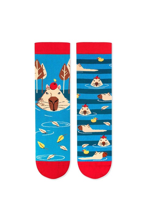 Sosete bumbac Arty Socks Capybara, 43-46 EU, Albastru