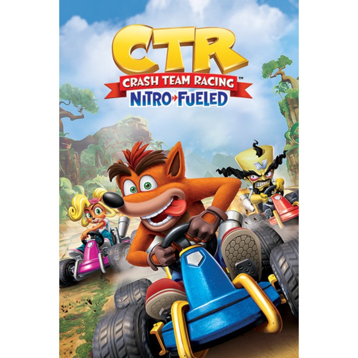 Poster, Crash team Racing, 91.5 x 61 cm