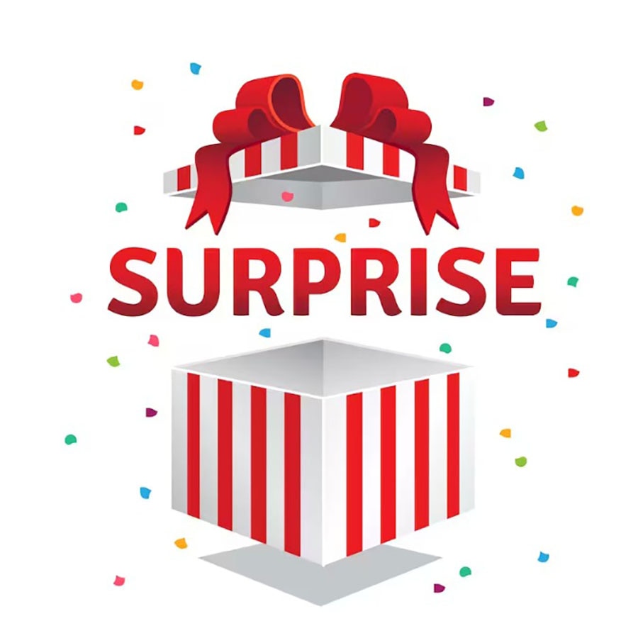 Mystery Box compatibil Apple iPhone 12 Pro Max- Produse