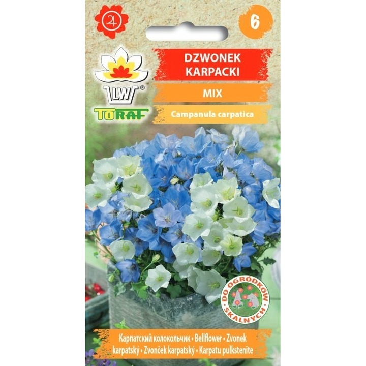 Seminte de gradina, Seminte Campanula carpatica, Toraf, 0.3g, Multicolor, calitate superioara, seminte premium, seminte de top