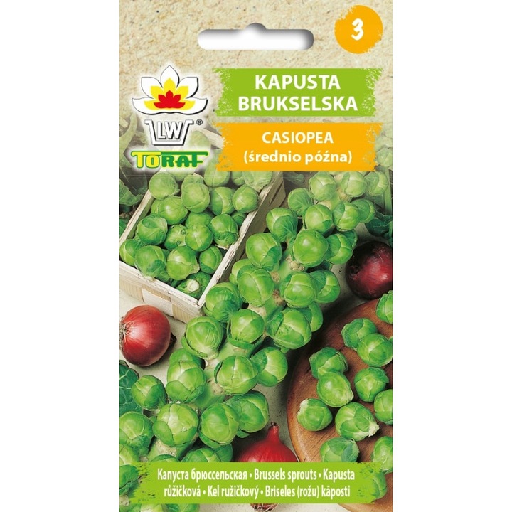 Seminte de gradina, Seminte varza de Bruxelles, Toraf, 1g, Instructiuni incluse, Multicolor, calitate superioara, seminte premium, seminte de top