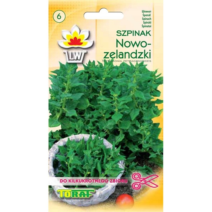 Seminte de gradina, Seminte spanac, Toraf, 5g, calitate superioara, seminte premium, seminte de top