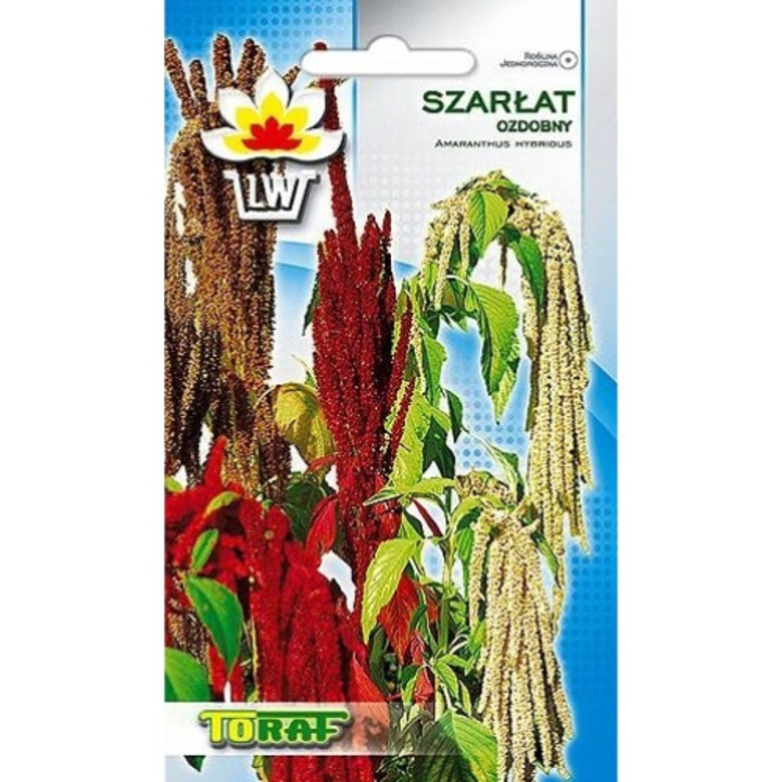 Seminte de gradina, ORNAMENT AMONGHER, Toraf, 1g, Multicolor, calitate superioara, seminte premium, seminte de top