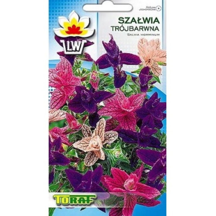 Seminte de gradina, Seminte, Toraf, 0.5 g, calitate superioara, seminte premium, seminte de top