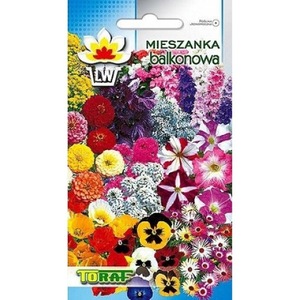 Hagymák, vetőmagok és palánták