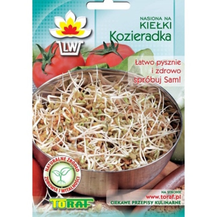 Germeni de schinduf, Toraf, 20g