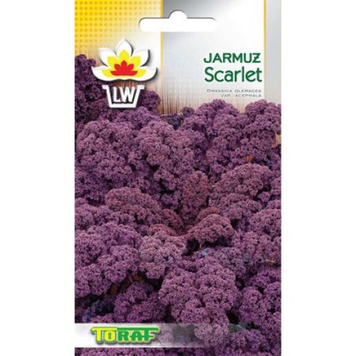 Seminte Caliza Scarlet, Toraf, 1 g