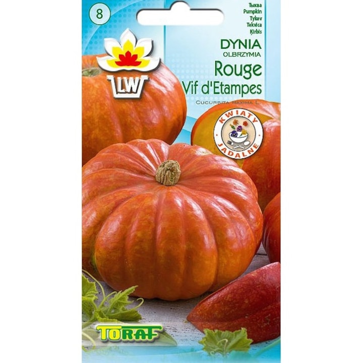 Seminte de gradina, Seminte dovleac, Toraf, 20g, calitate superioara, seminte premium, seminte de top